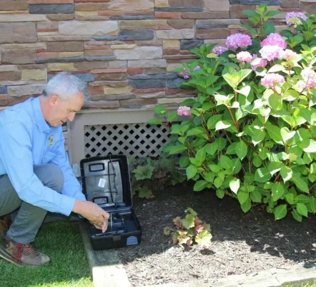 Friendly rodent control technician assisting homeowner in Redwood City CA near Redwood Shores 94065